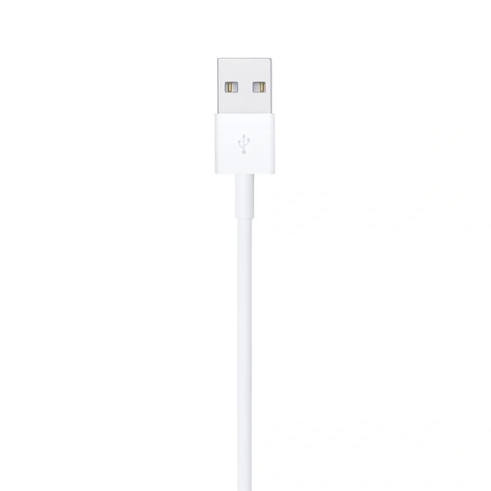 Apple this usb